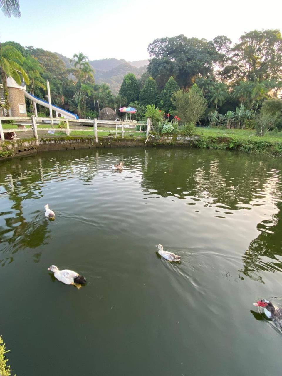 Ecologica Cavalo De Pedra Inn 2*